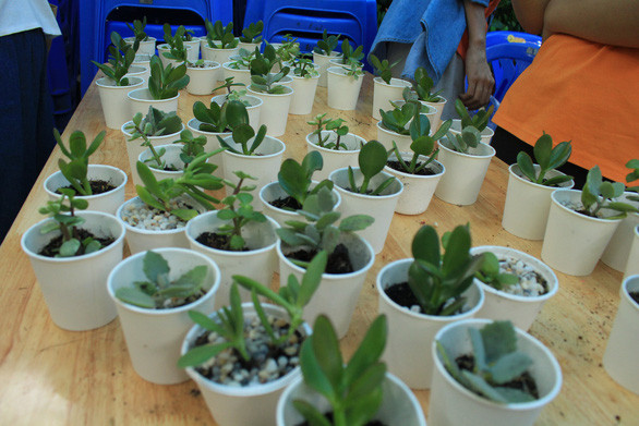  “以书换树”活动 用废料换来绿色未来 ảnh 2