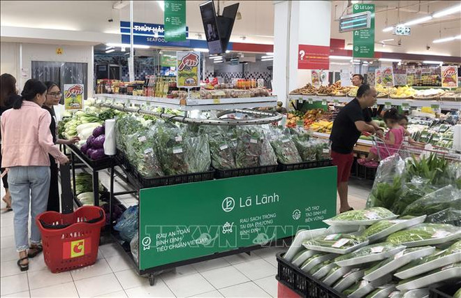 平定省无公害蔬菜品牌问世 ảnh 1 平定省无公害蔬菜品牌问世 ảnh 1