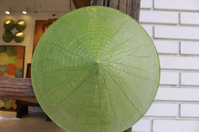 顺化青年把荷叶斗笠推介给世界各国 ảnh 2