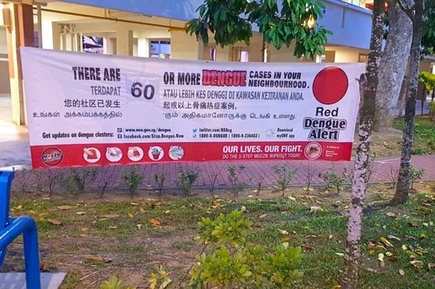 新加坡登革热病例数量创新纪录 ảnh 1 新加坡登革热病例数量创新纪录 ảnh 1