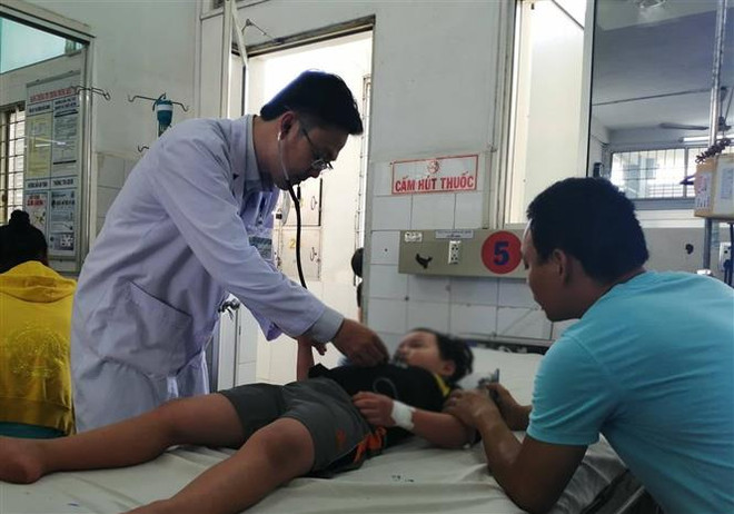 2019年上半年越南全国登革热病例达7.1万例左右 ảnh 1