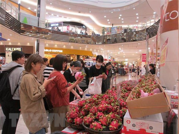 越南特色和环境友好型产品亮相新加坡国际优质食品展 ảnh 2 越南特色和环境友好型产品亮相新加坡国际优质食品展 ảnh 2