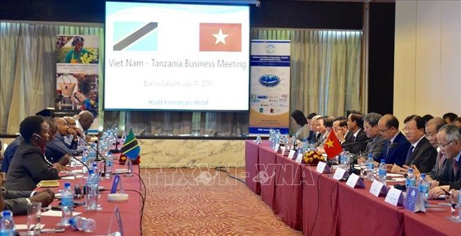 越南政府副总理郑廷勇对坦桑尼亚进行工作访问 ảnh 1