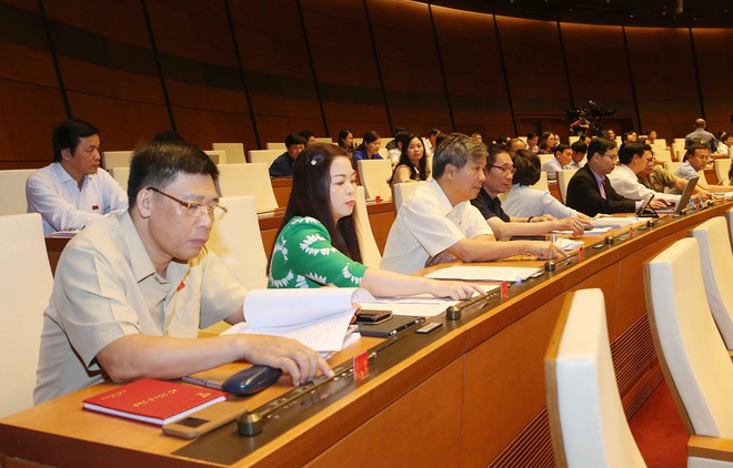 政府总理分工各部门主持草拟14项法案和法令 ảnh 1