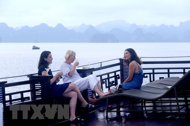 今年上半年越南接待国际游客多达850万人次 ảnh 1