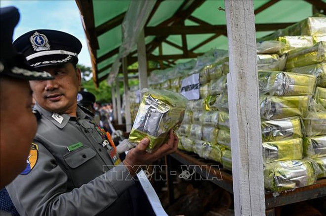 联合国毒品和犯罪问题办公室:东南亚有组织犯罪日益猖獗 ảnh 1 联合国毒品和犯罪问题办公室:东南亚有组织犯罪日益猖獗 ảnh 1