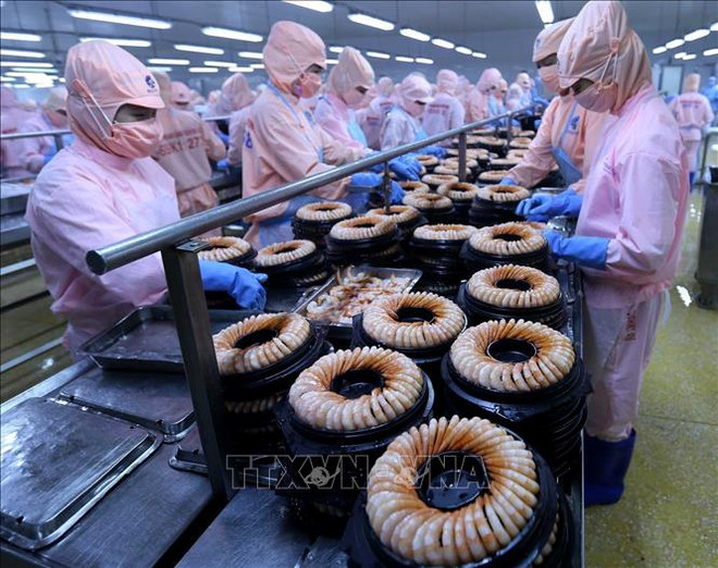 亚洲开发银行:越南是2019年东南亚地区经济增长速度最快的国家 ảnh 1 亚洲开发银行:越南是2019年东南亚地区经济增长速度最快的国家 ảnh 1