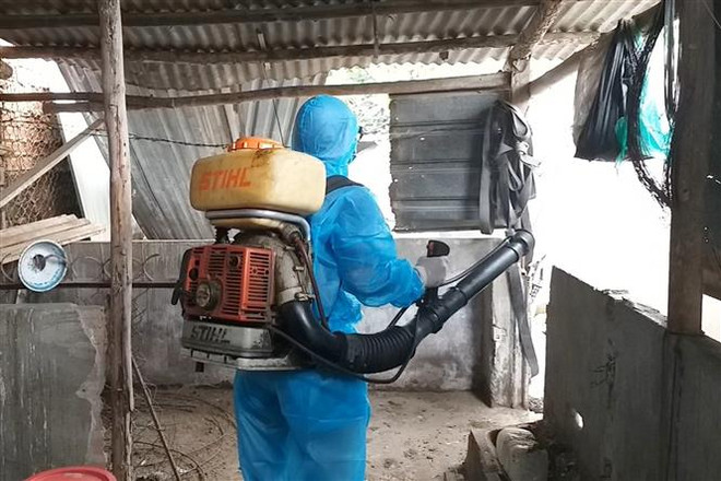 2019年初至今越南登革热病例同比增长两倍 ảnh 1 2019年初至今越南登革热病例同比增长两倍 ảnh 1