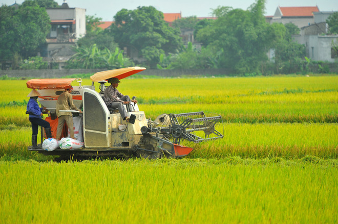 2019年越南经济中期报告:经济增长有望超过国会提出的目标 ảnh 1 2019年越南经济中期报告:经济增长有望超过国会提出的目标 ảnh 1
