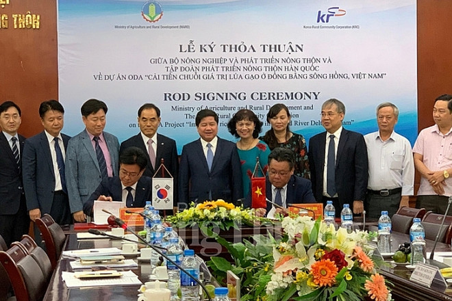 韩国助力越南改善稻米价值链 提高人民群众收入水平 ảnh 1 韩国助力越南改善稻米价值链 提高人民群众收入水平 ảnh 1