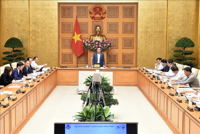 越南规划渔港系统 有效开发水产品并应对气候变化 ảnh 1 越南规划渔港系统 有效开发水产品并应对气候变化 ảnh 1