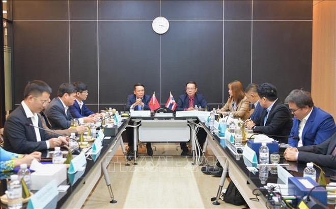 加强越南记者协会与泰国记者协会的合作 ảnh 1 加强越南记者协会与泰国记者协会的合作 ảnh 1