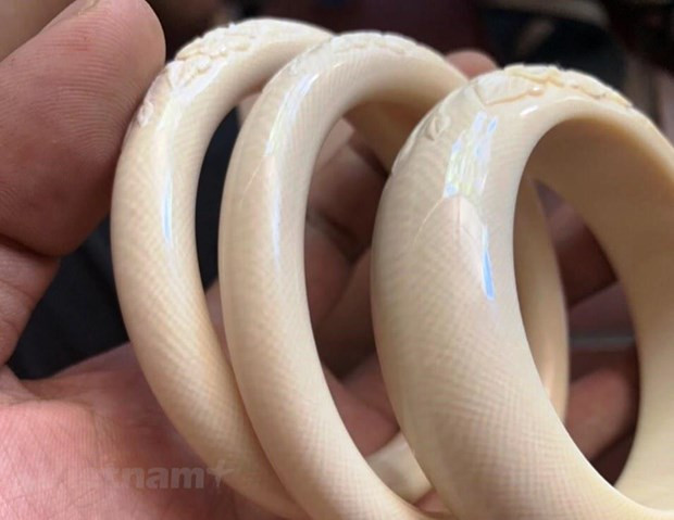 世界大象日:销毁象牙应成为越南的惯例 ảnh 3 世界大象日:销毁象牙应成为越南的惯例 ảnh 3