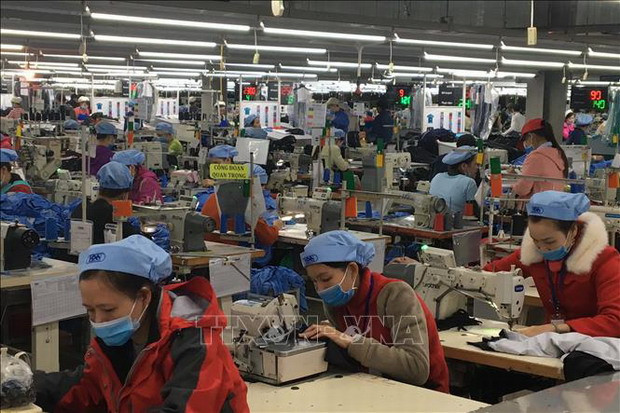 Vitas 与WWF合作推动越南纺织服装行业绿色发展 ảnh 1 Vitas 与WWF合作推动越南纺织服装行业绿色发展 ảnh 1