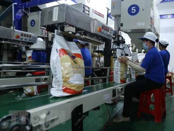 越中大米贸易合作会议:大力推动越中大米出口 ảnh 1 越中大米贸易合作会议:大力推动越中大米出口 ảnh 1