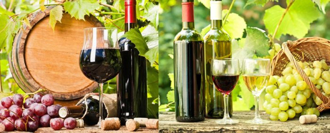 宁顺省致力于打造葡萄酒品牌 ảnh 1 宁顺省致力于打造葡萄酒品牌 ảnh 1