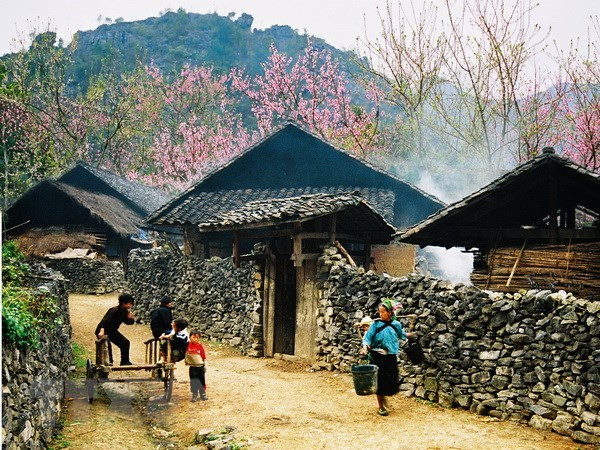 同文岩石高原全球地质公园--河江省旅游发展的催化剂 ảnh 1