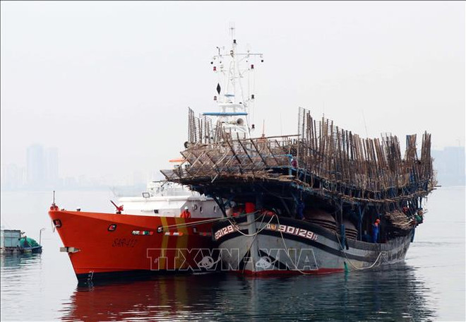  QNa 90129 TS号渔船海上遇险情 越南海上搜救力量及时出动52名船员全部获救 ảnh 1