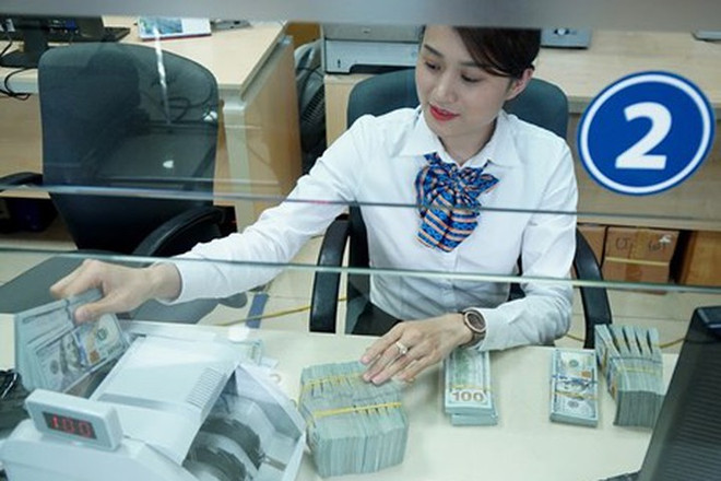 8日越盾兑美元中心汇率大涨 ảnh 1 8日越盾兑美元中心汇率大涨 ảnh 1