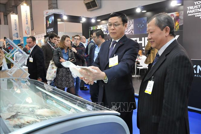 越南水产品实现可持续发展，力求在欧洲市场上站稳脚跟 ảnh 1
