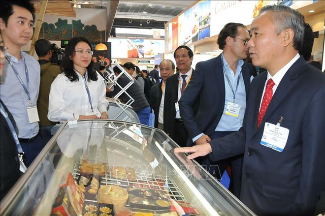 越南水产品实现可持续发展，力求在欧洲市场上站稳脚跟 ảnh 2