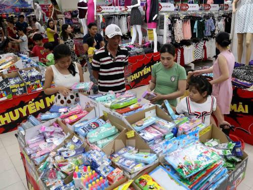 多措并举促进国内市场的购买力 ảnh 1