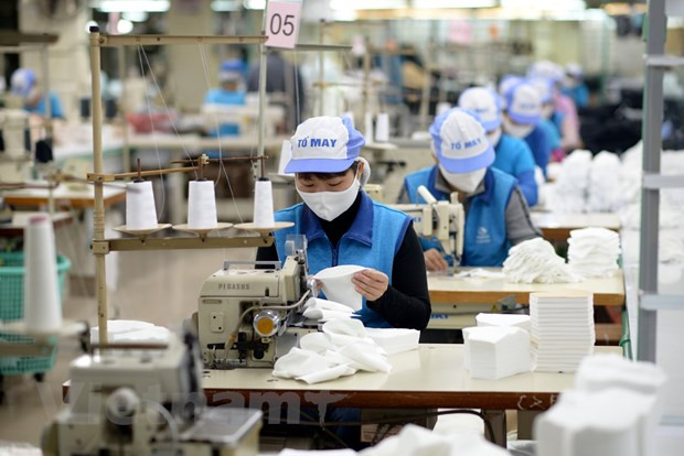 越南纺织服装行业抓住口罩出口的机遇 ảnh 1