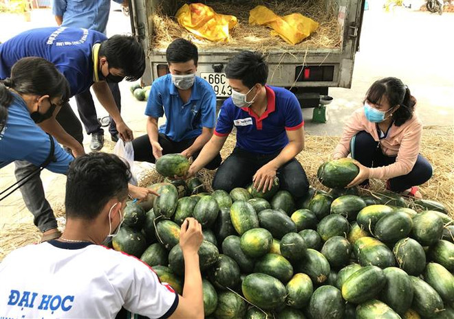 永隆省寻找农产品销售新市场 ảnh 1 永隆省寻找农产品销售新市场 ảnh 1