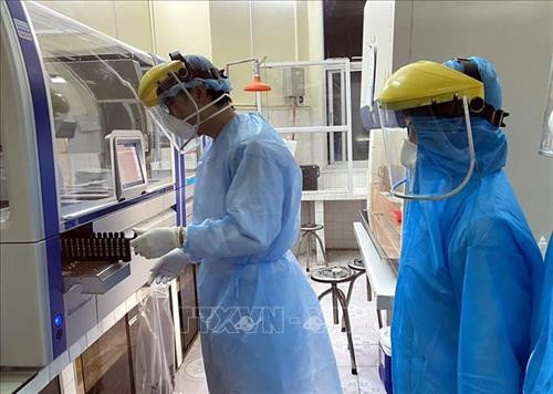 越南成功研发的新冠肺炎病毒快速检测试剂盒 ảnh 2 越南成功研发的新冠肺炎病毒快速检测试剂盒 ảnh 2