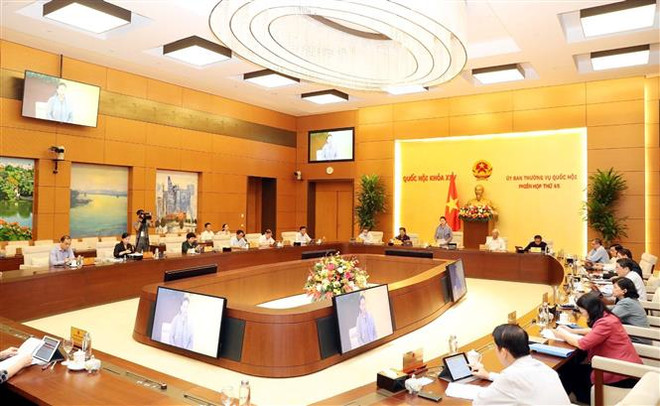 越南国会常委会第45次会议开幕 ảnh 2 越南国会常委会第45次会议开幕 ảnh 2
