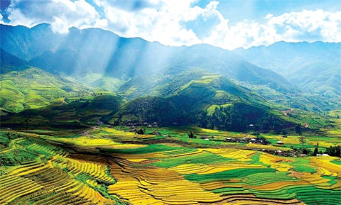 北山“金季”之美 ảnh 1 北山“金季”之美 ảnh 1