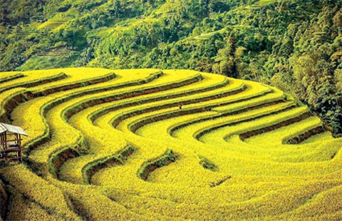 北山“金季”之美 ảnh 4 北山“金季”之美 ảnh 4