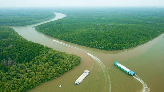 将芹耶打造成海洋旅游之地 ảnh 1