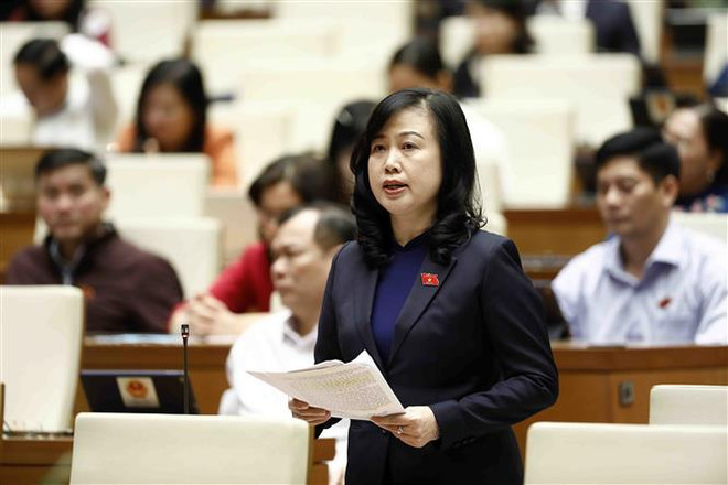 十五届国会四次会议:卫生部部长陶红兰作关于药品和医疗设备采购招标问题的说明 ảnh 1 十五届国会四次会议:卫生部部长陶红兰作关于药品和医疗设备采购招标问题的说明 ảnh 1