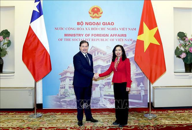 越南 – 智利外交部间第七次政治磋商会在越南举行 ảnh 2 越南 – 智利外交部间第七次政治磋商会在越南举行 ảnh 2