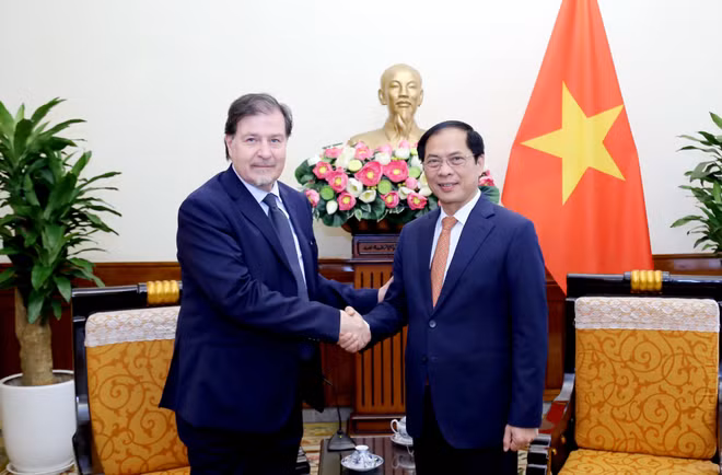 越南 – 智利外交部间第七次政治磋商会在越南举行 ảnh 1