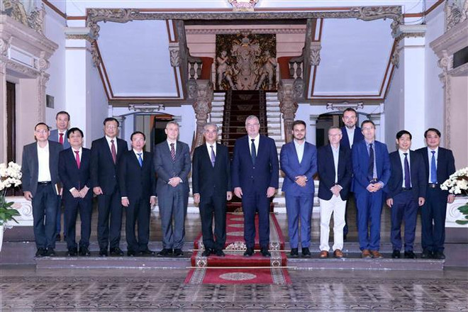 促进越南胡志明市与比利时瓦隆-布鲁塞尔地区之间的合作 ảnh 2 促进越南胡志明市与比利时瓦隆-布鲁塞尔地区之间的合作 ảnh 2