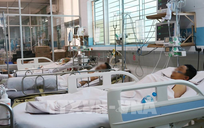 专家预测河内市登革热高峰将在11-12月 ảnh 1