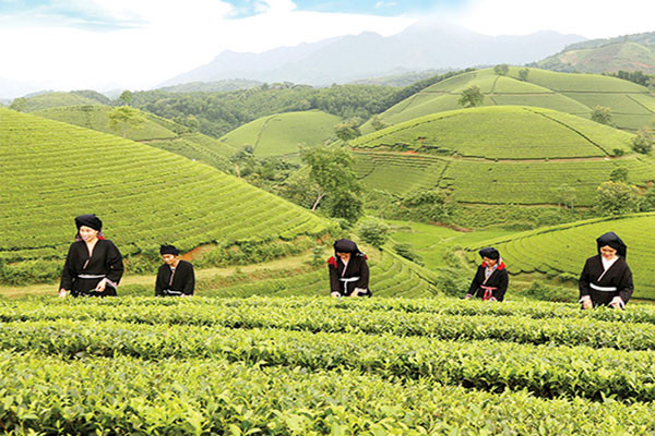 越南积极为北部山区与中游地区制定经济社会发展目标 ảnh 1 越南积极为北部山区与中游地区制定经济社会发展目标 ảnh 1