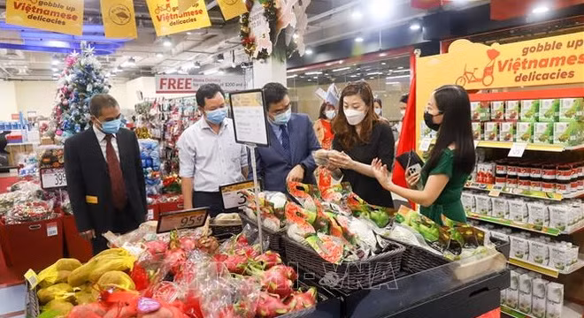 着力推进越南产品打入新加坡市场 ảnh 1
