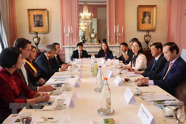 促进林同省与比利时东佛兰德省之间的合作关系 ảnh 1 促进林同省与比利时东佛兰德省之间的合作关系 ảnh 1