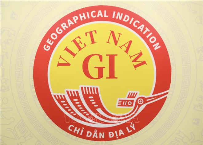 越南地理标志专用标志正式发布 ảnh 1 越南地理标志专用标志正式发布 ảnh 1