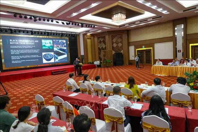 土壤盐碱化对九龙江三角洲地区经济发展和企业造成严重影响 ảnh 1 土壤盐碱化对九龙江三角洲地区经济发展和企业造成严重影响 ảnh 1