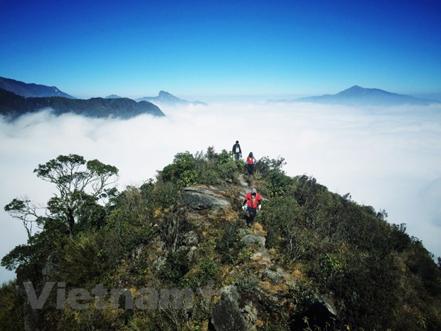 2021年越南旅游业将进入新的发展状态 ảnh 2 2021年越南旅游业将进入新的发展状态 ảnh 2