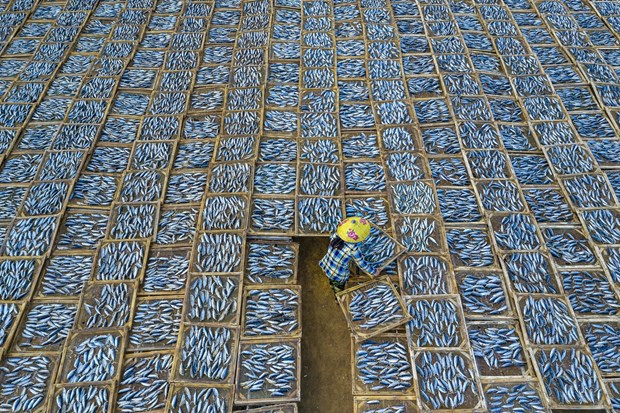 越南摄影师荣获东京国际摄影大赛金奖 ảnh 2 越南摄影师荣获东京国际摄影大赛金奖 ảnh 2