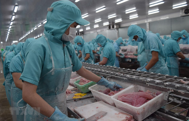 越南力争至2030年农林水产品出口额达620亿美元 ảnh 1