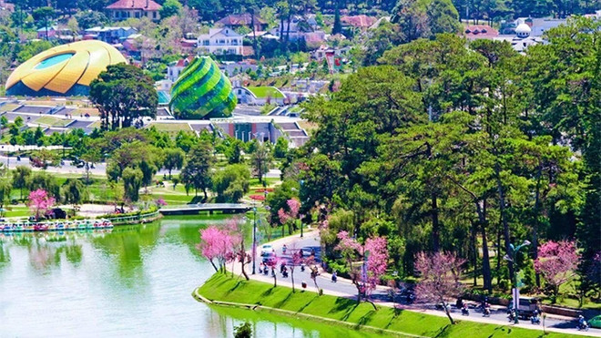 春节期间林同省大叻市接待游客量下降83% ảnh 1 春节期间林同省大叻市接待游客量下降83% ảnh 1