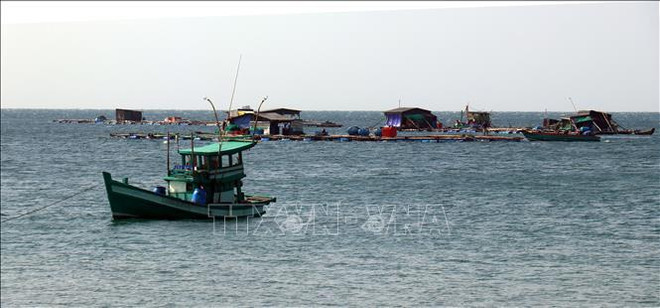 努力创造竞争优势 促进海洋经济发展 ảnh 1 努力创造竞争优势 促进海洋经济发展 ảnh 1