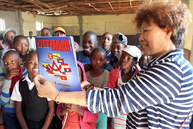 越南外交干部代表团对莱索托王国进行访问 ảnh 1