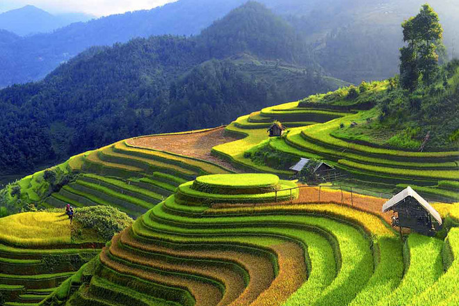 2020年第八届“遗产之旅”摄影大赛正式启动 ảnh 1 2020年第八届“遗产之旅”摄影大赛正式启动 ảnh 1